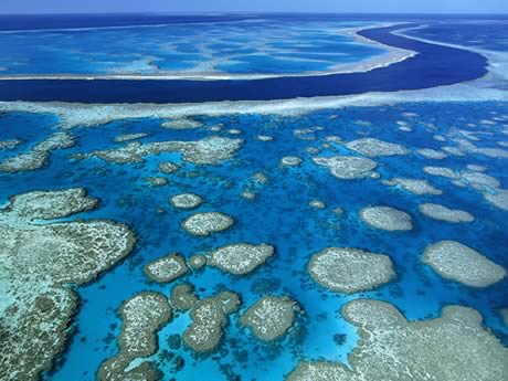 Great Barrier Reef Australia