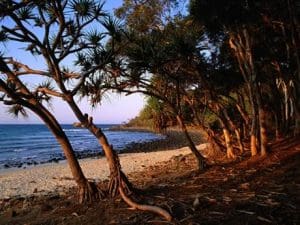 Tea Tree Beach Noosa national park Queensland Australia