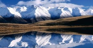 New Zealand imigration services