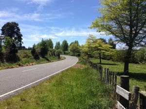 Curved road with nature scenery