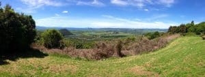 New Zealand immigrations