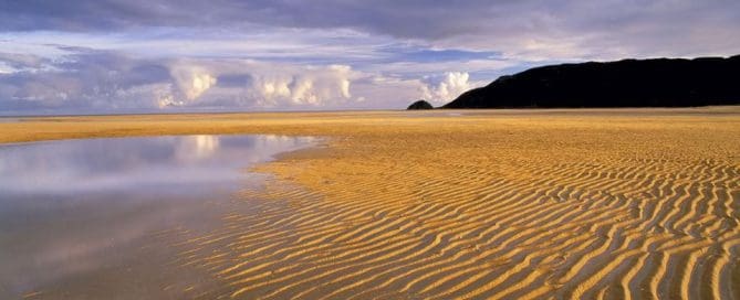 New Zealand migration