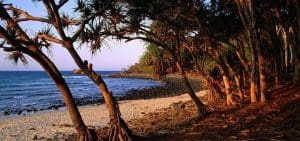 Tea tree Beach Noosa national park Queensland Australia