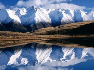 McKenzie Basin in New Zealand.